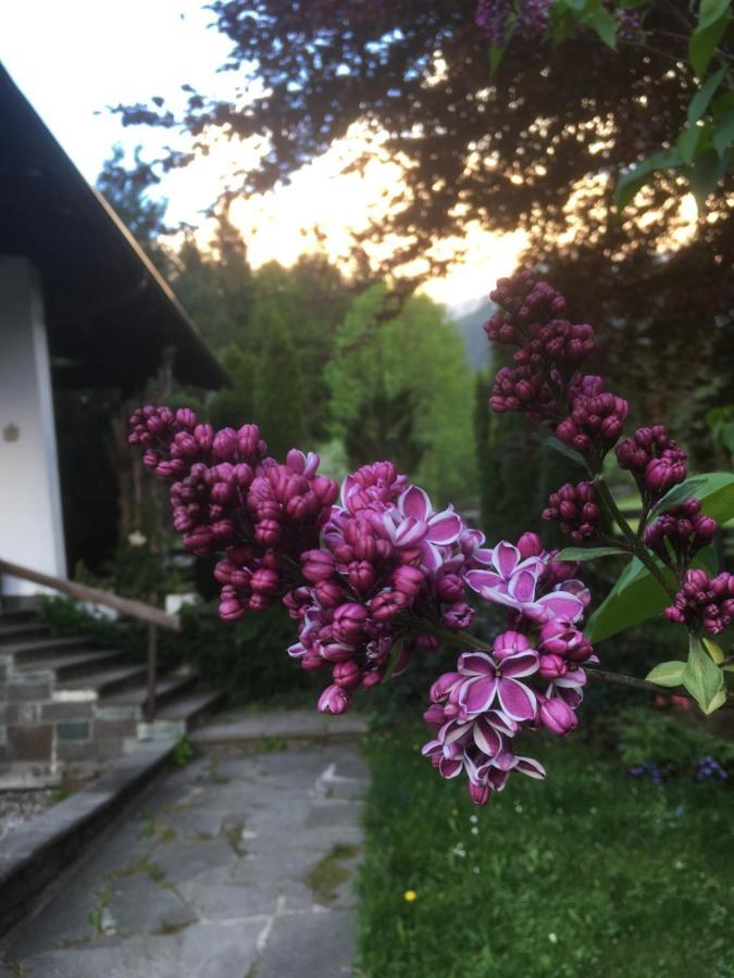 Ferienhaus Wieswald Ehrwald Zewnętrze zdjęcie