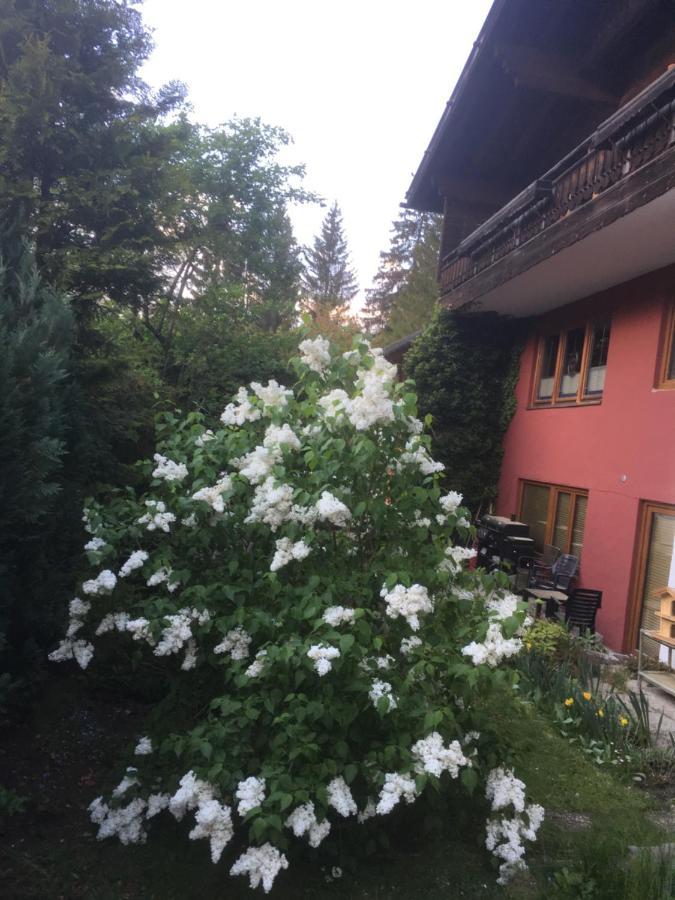 Ferienhaus Wieswald Ehrwald Zewnętrze zdjęcie